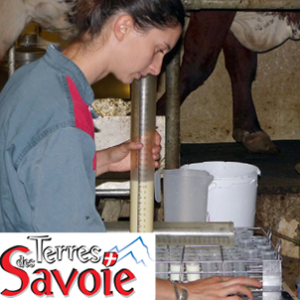 Éleveurs Des Savoie : Une Belle Réussite Lors De L’audit SMQ