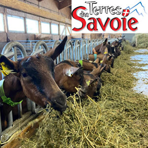 CapRepart Et PAM Caprin : Deux Nouveaux Outils En Reproduction Caprine Proposés Par Éleveurs Des Savoie