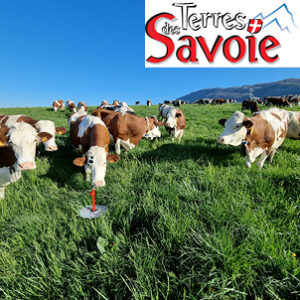 Les Prairies, Une Richesse Vivante à Entretenir Et Valoriser