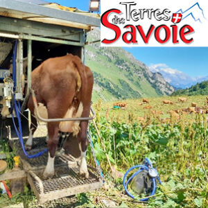 La Qualité Du Lait : Un Sujet Majeur Pour Les Groupements Pastoraux